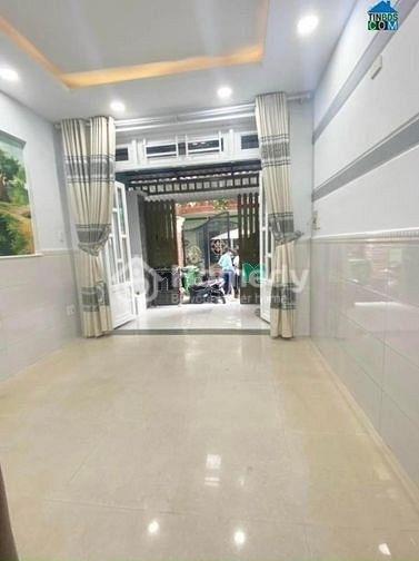 4205450 ảnh đại diện 1