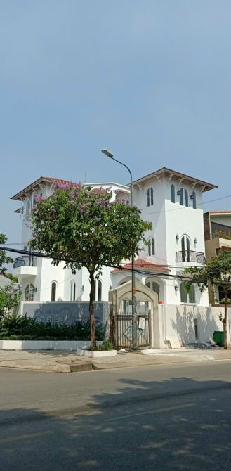 4205893 ảnh đại diện 1