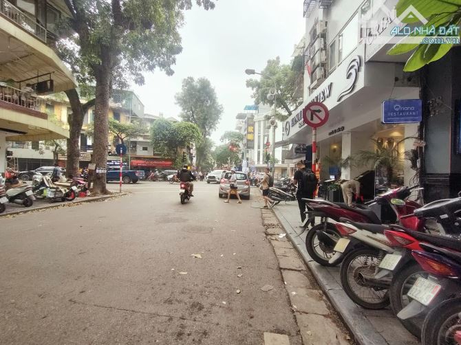 4204190 ảnh đại diện 1