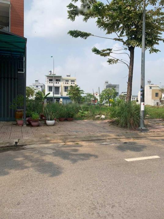 4204300 ảnh đại diện 1