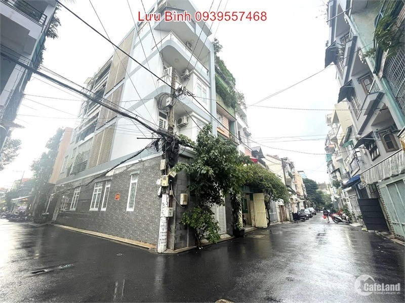 4206037 ảnh đại diện 1