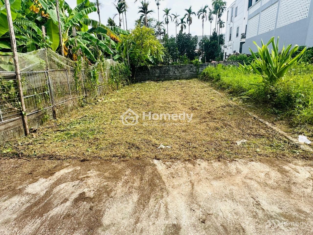 4204260 ảnh đại diện 1