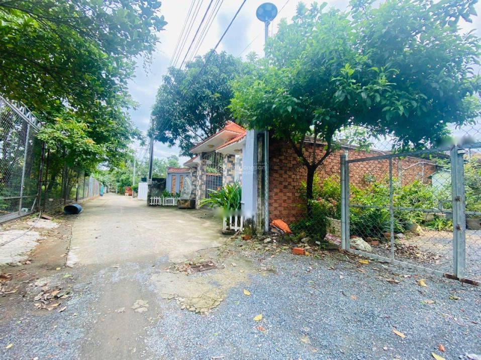 4204312 ảnh đại diện 1