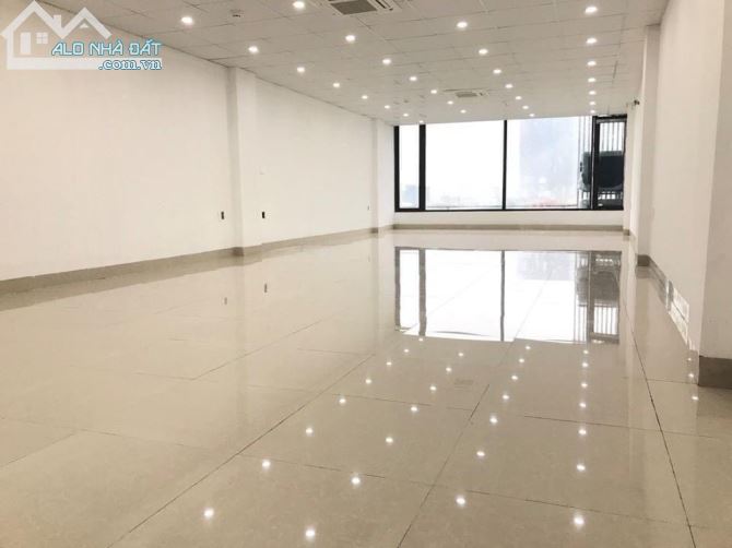 4205915 ảnh đại diện 2
