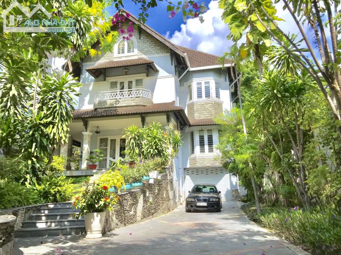 4205872 ảnh đại diện 1