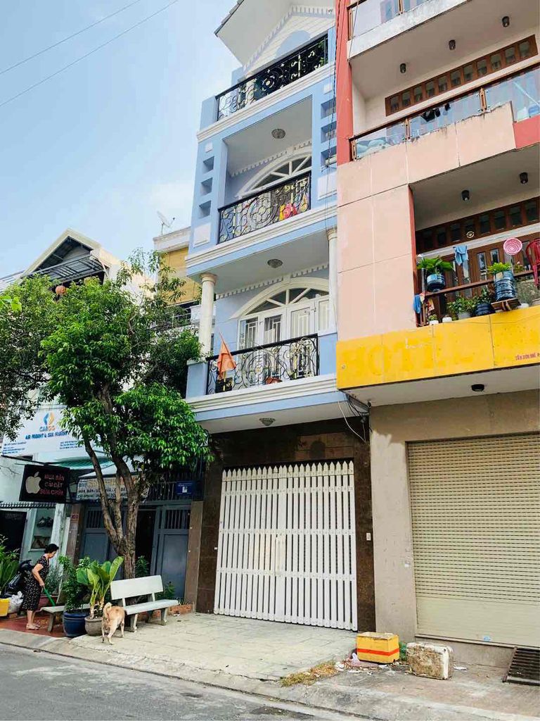 4204018 ảnh đại diện 1