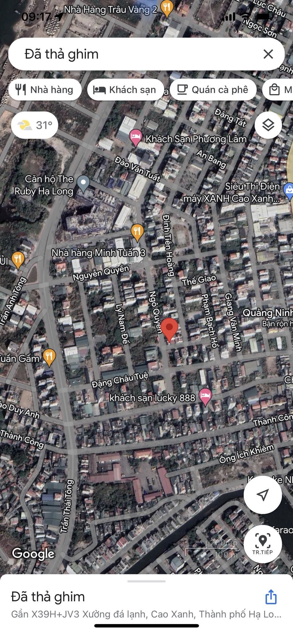 4206384 ảnh đại diện 2