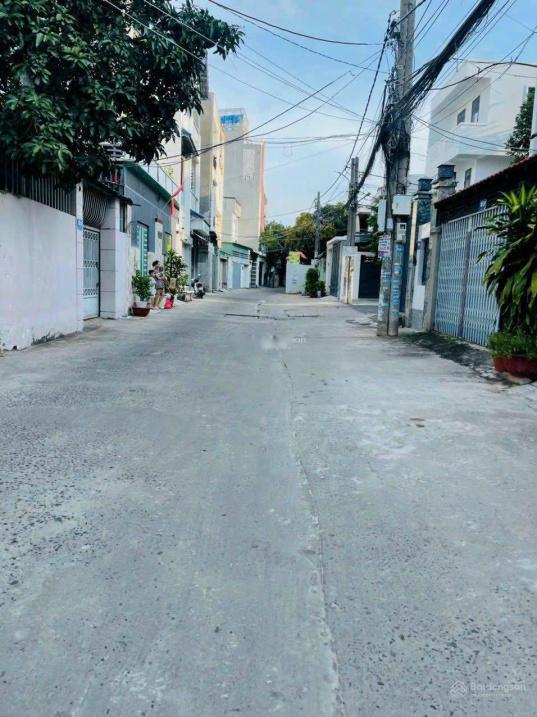 4207692 ảnh đại diện 1