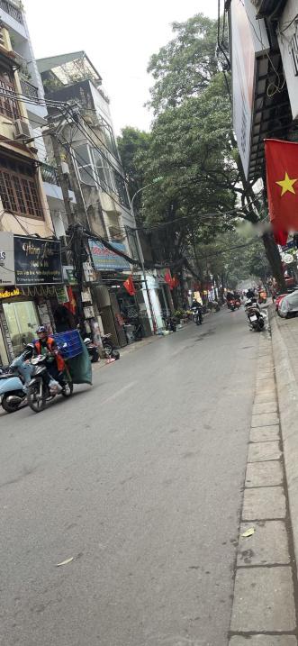 4209265 ảnh đại diện 1