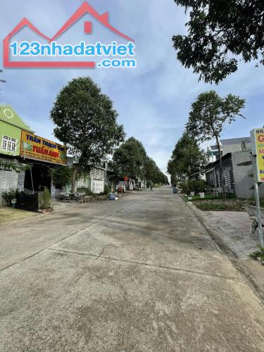 4210575 ảnh đại diện 1