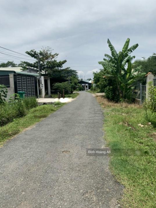4208409 ảnh đại diện 1