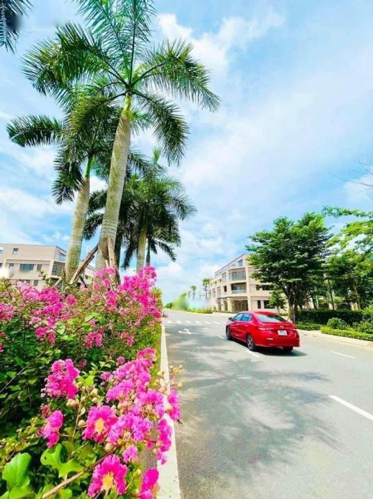 4210970 ảnh đại diện 1