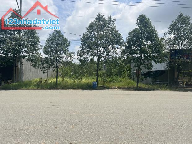 4210578 ảnh đại diện 1