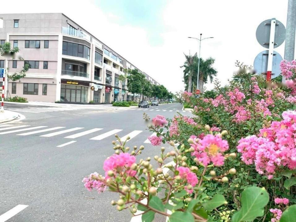 4210970 ảnh đại diện 1