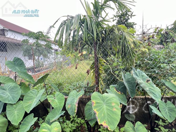 4210896 ảnh đại diện 1