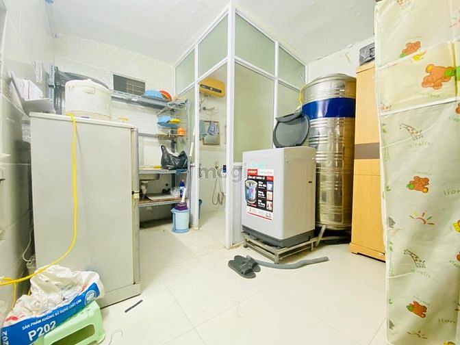 4207786 ảnh đại diện 1