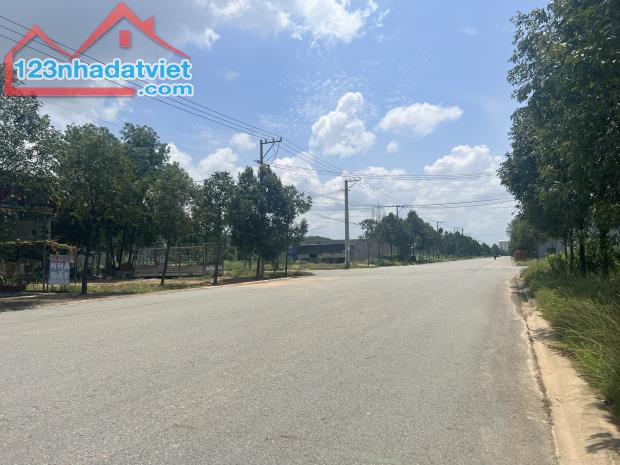 4210578 ảnh đại diện 1