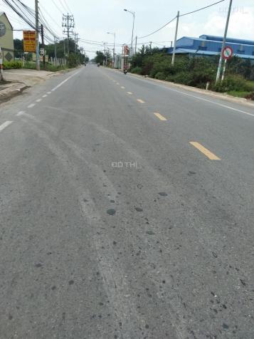 4208823 ảnh đại diện 2