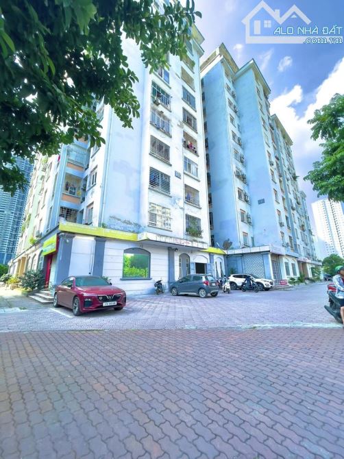 4207575 ảnh đại diện 1