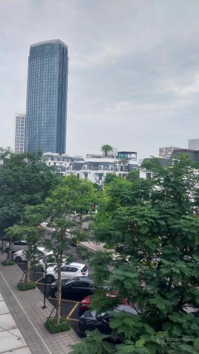 4209812 ảnh đại diện 1