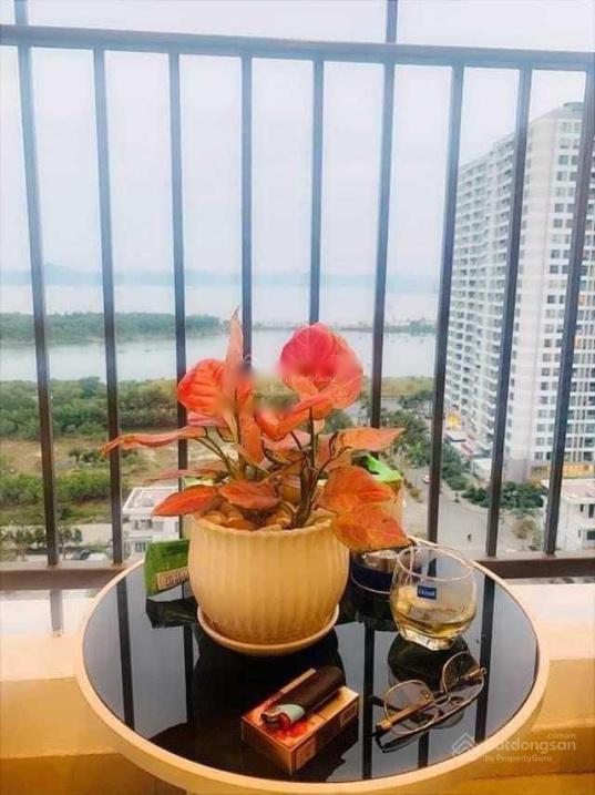 4210858 ảnh đại diện 2
