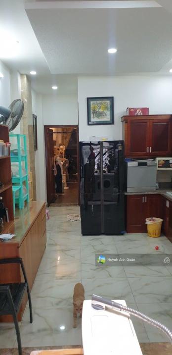 4209388 ảnh đại diện 2
