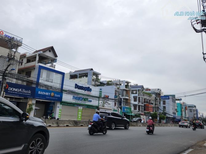 4208876 ảnh đại diện 2