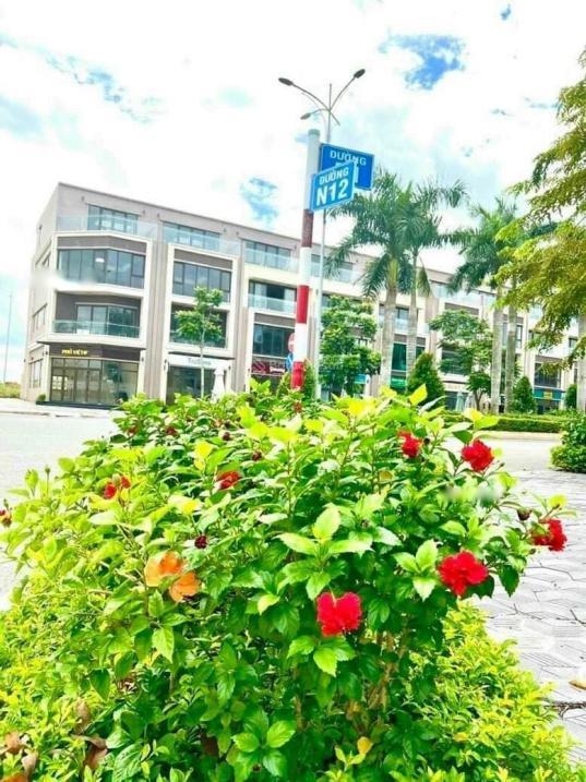 4210970 ảnh đại diện 2