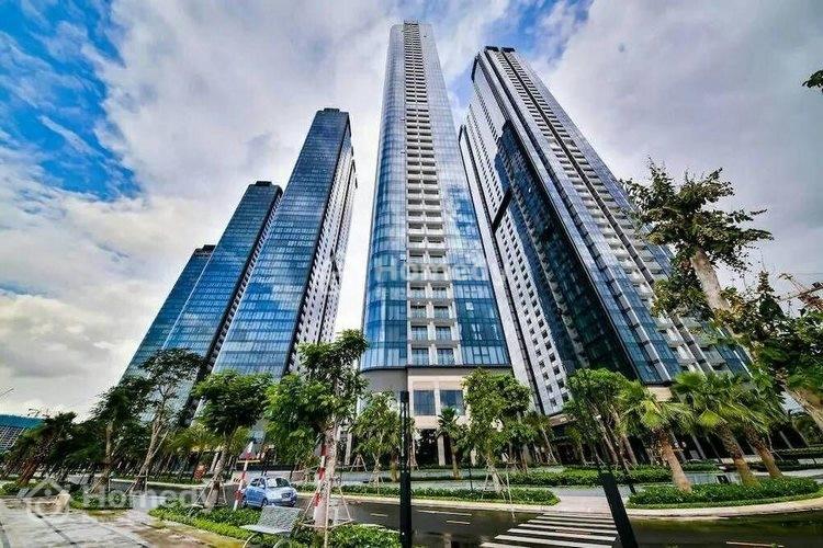 4207523 ảnh đại diện 1