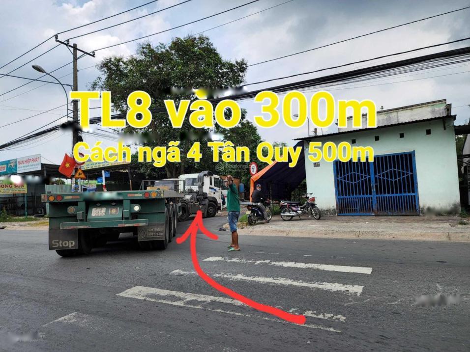 4207924 ảnh đại diện 2