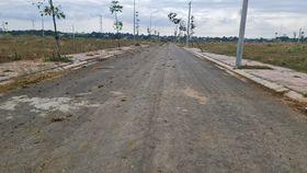 4207688 ảnh đại diện 2