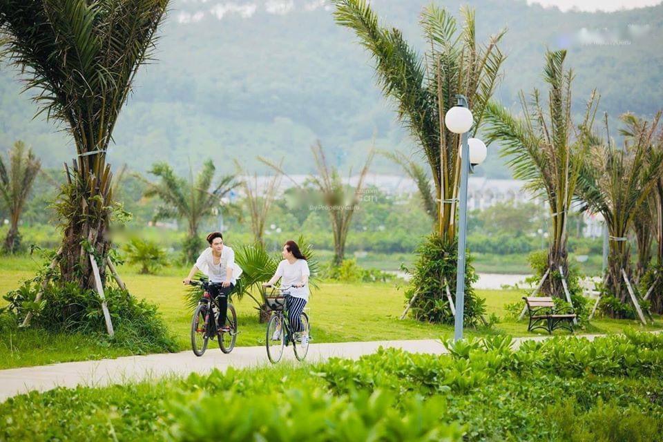 4210848 ảnh đại diện 1