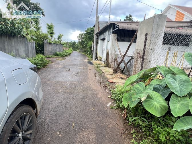 4210896 ảnh đại diện 2