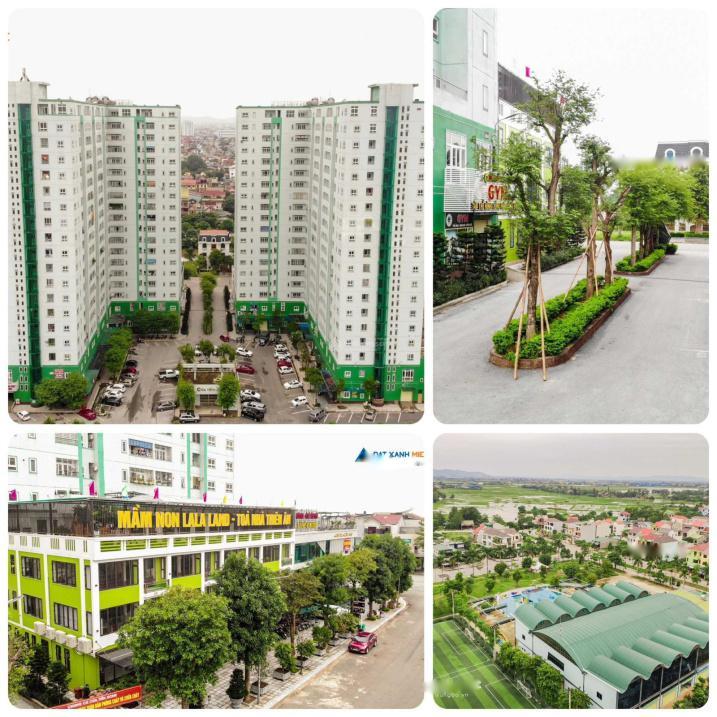 4209084 ảnh đại diện 1