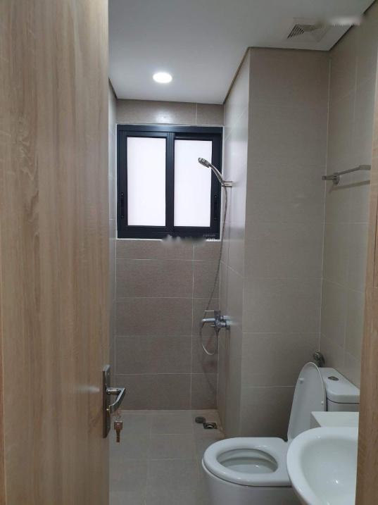 4210062 ảnh đại diện 2