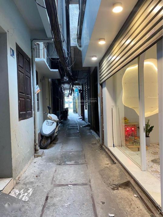4208248 ảnh đại diện 1