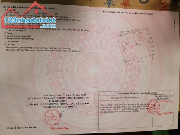 4210470 ảnh đại diện 2