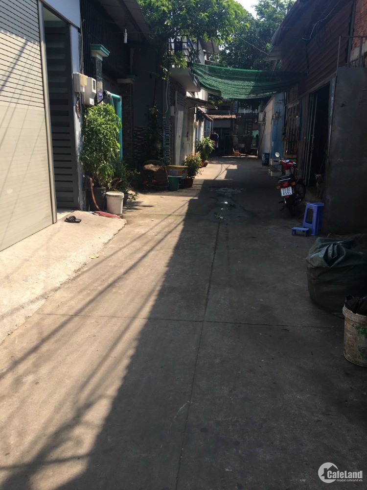 4210904 ảnh đại diện 2