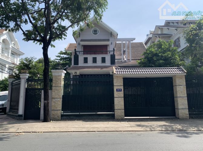 4208727 ảnh đại diện 1