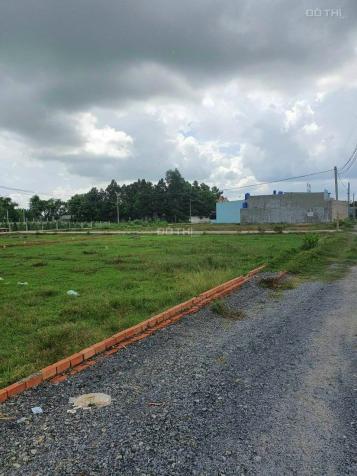 4208823 ảnh đại diện 1