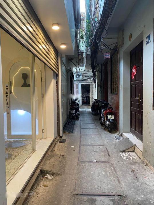 4208248 ảnh đại diện 1
