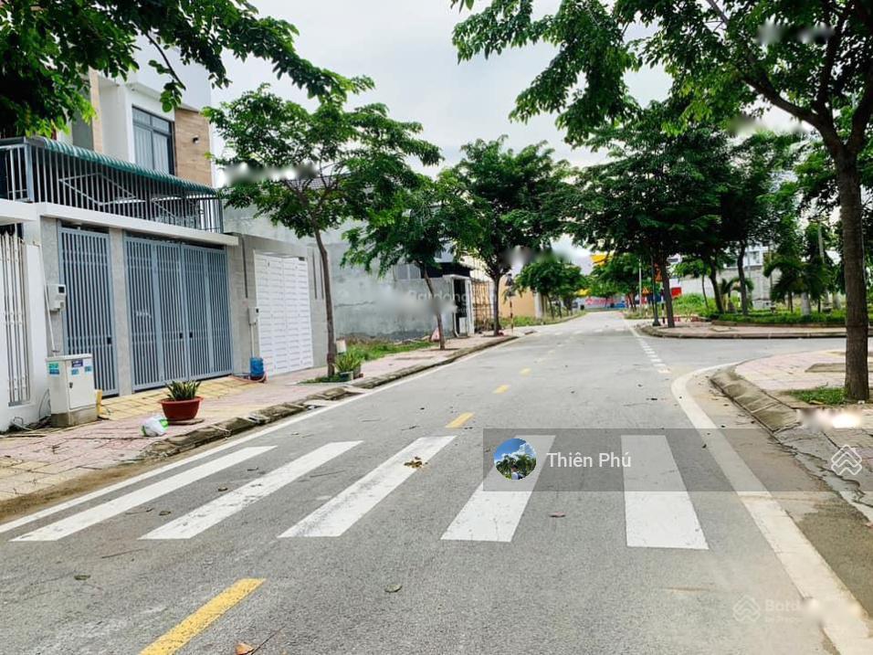 4210481 ảnh đại diện 1