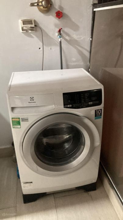 4210062 ảnh đại diện 1