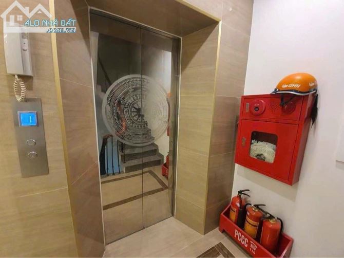 4213037 ảnh đại diện 2