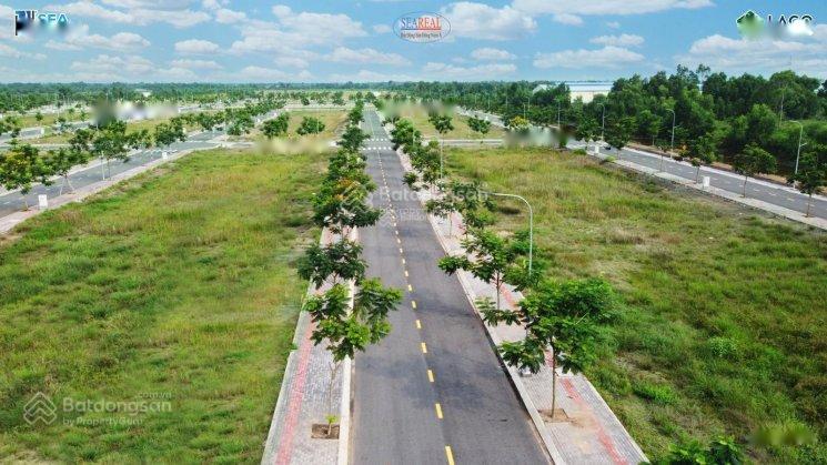4212784 ảnh đại diện 1