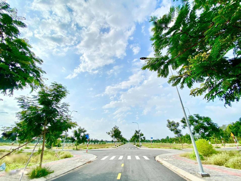 4212781 ảnh đại diện 1