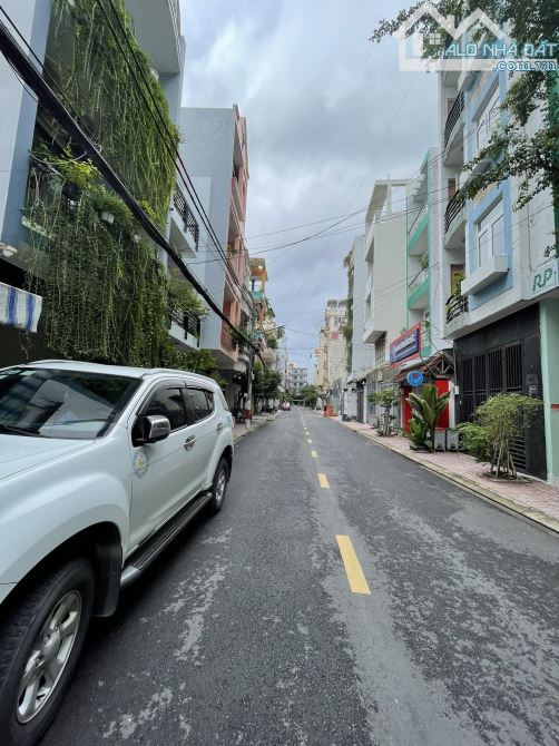 4213044 ảnh đại diện 1