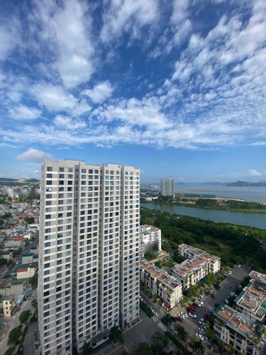 4213741 ảnh đại diện 2