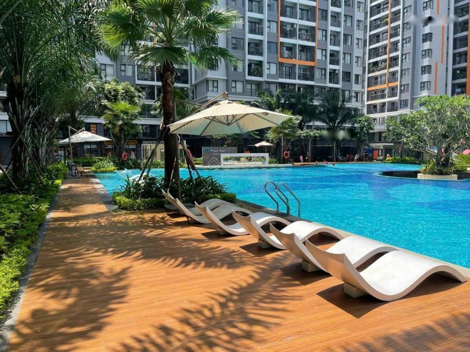 4213025 ảnh đại diện 2