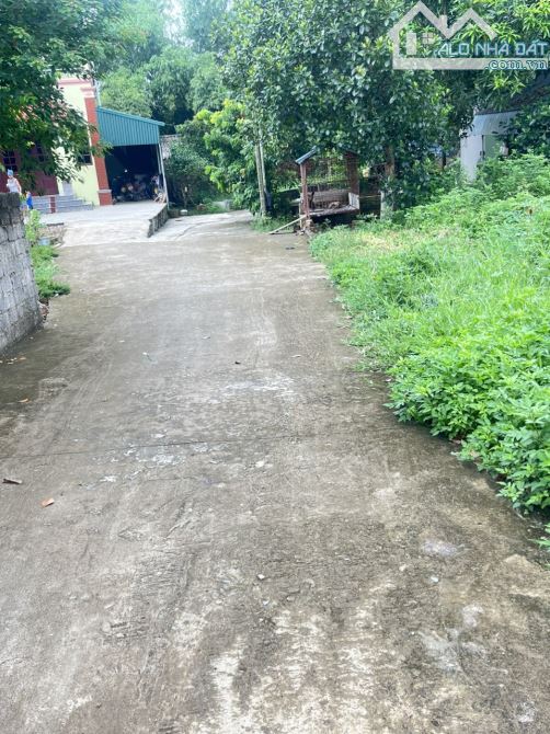 4211627 ảnh đại diện 1